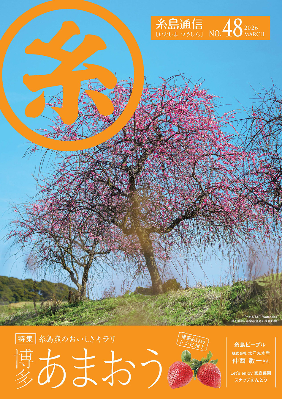 糸島通信　2026年　3月号