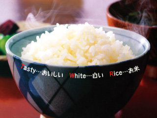糸島のお米